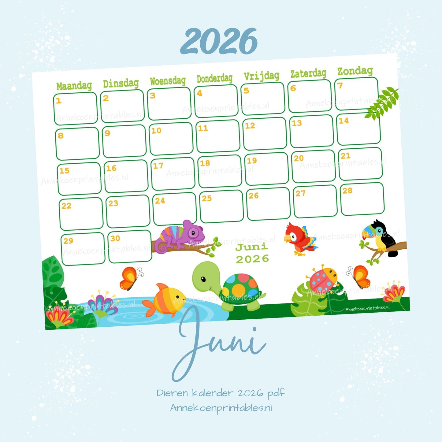 Juni kalender Regenwoud serie Dieren 2026