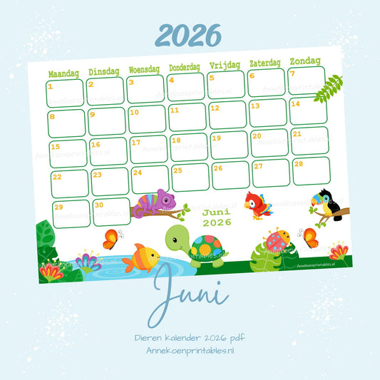 Juni kalender Regenwoud serie Dieren 2026