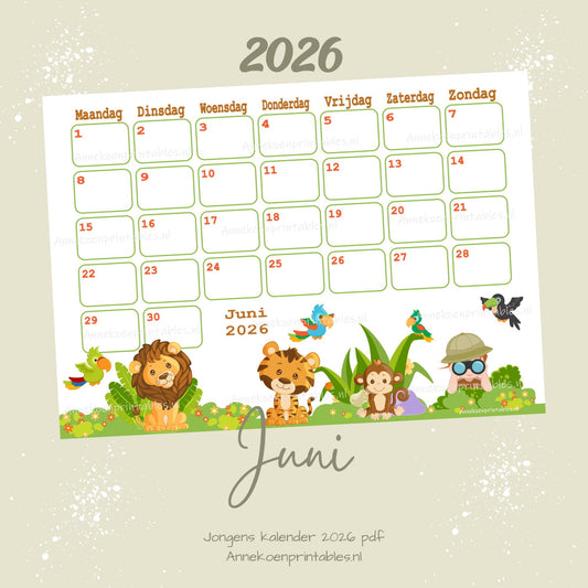 Juni kalender Jungle serie Jongens 2025 - 2026